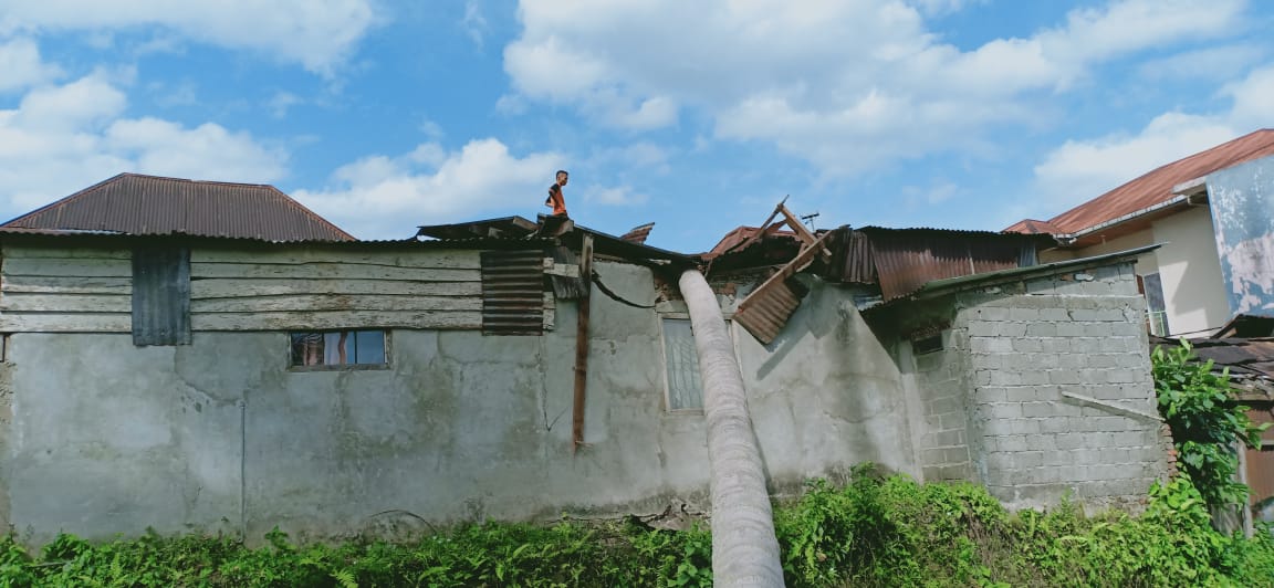 Atap rumah hancur ditimpa pohon kelapa, akibat angin kencang, Selasa 12/3 sore kemaren